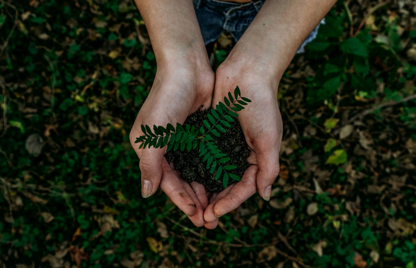 Sonbahar Renk Trendleri 2026